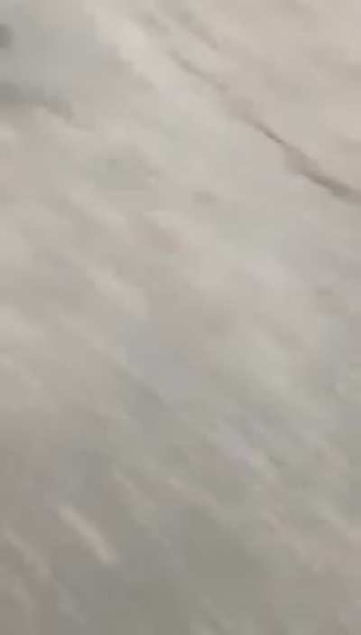 Normal day in Russia