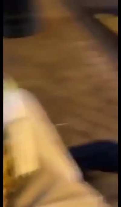 I’m a seagull