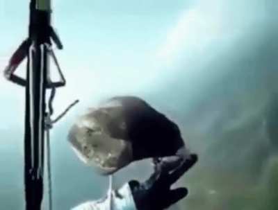 Bird visiting paraglider