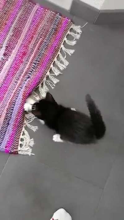 Reddit, meet Spooky