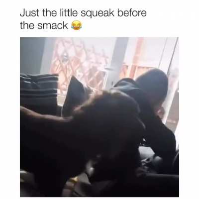 tinY PuPPer deVelOpS A BLoOdLuST FoR hUMAns!