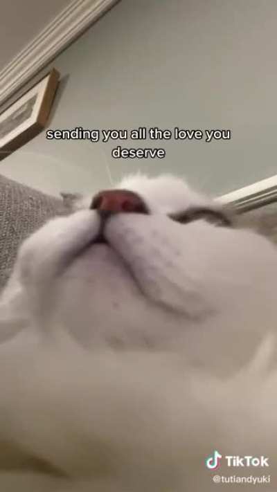Sorry for tiktok, but you cant tell me doesnt hit yo emotions