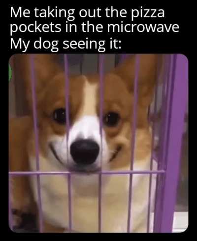 Well... I guess this is it