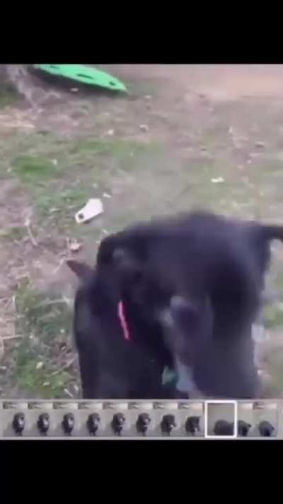 Blursed video frame