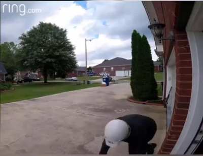Package thief. 