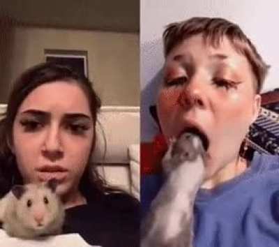 Even the hamster was shocked at what he saw
