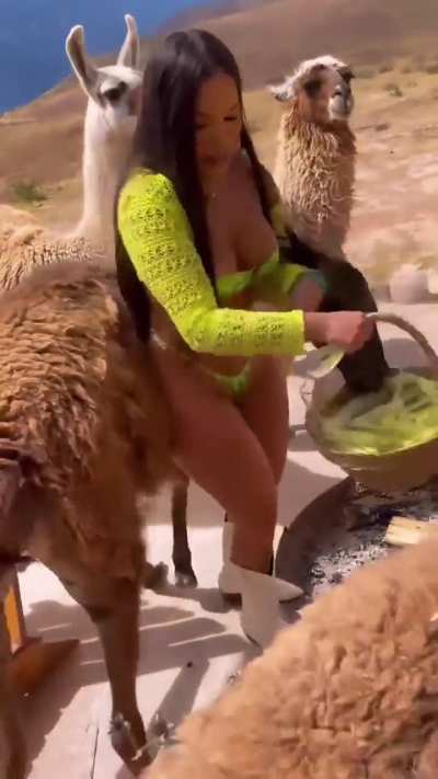 Big asses are perfect