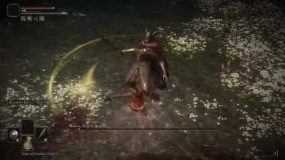 After 50 hours, it's finally done. The hardest souls-challenge I've ever done. Malenia [Level 1 Wretch, No summons, hitless] 55 consecutive Parries.