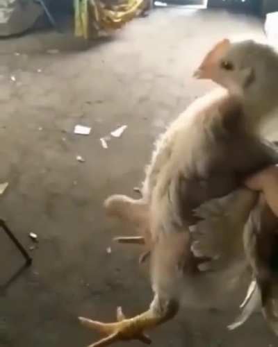 I am very confused