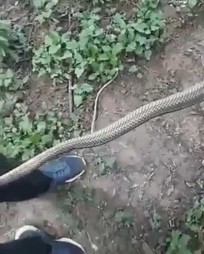 If you let go I'll let go