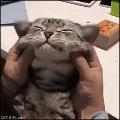 This cute gif made my day way better omg