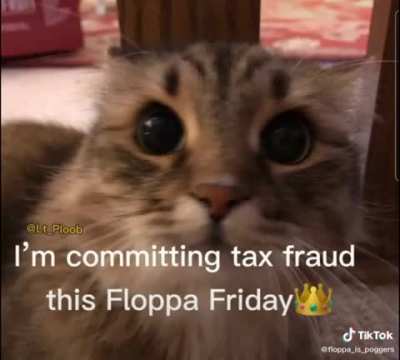 Happy floppa Friday everyone!!