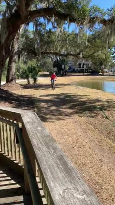 Nice Jump