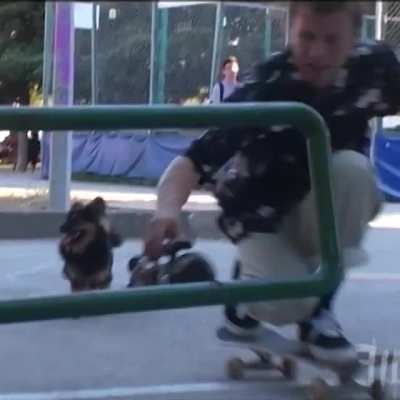Filmer hippy jumps his camera!