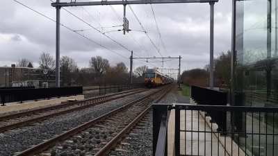 Bitch i am speed