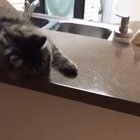 I took this from r/gifs