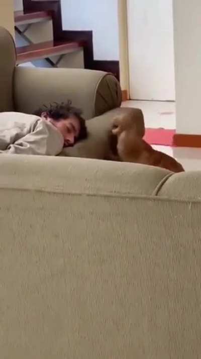 A rude awakening