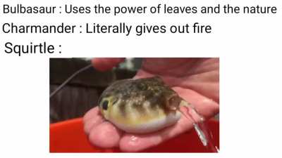Squartle , Squart !