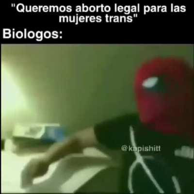 Procedo a XDD