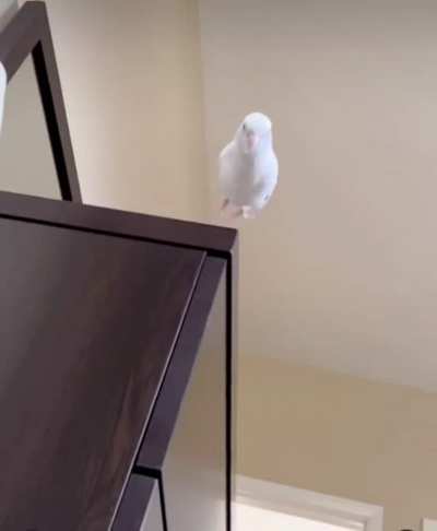 Jump