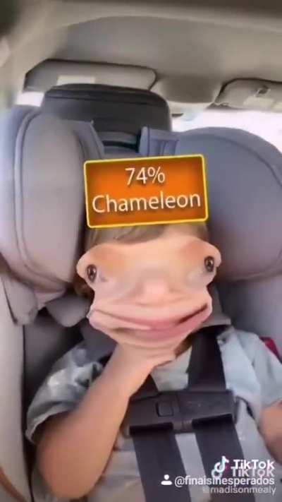 tadinha