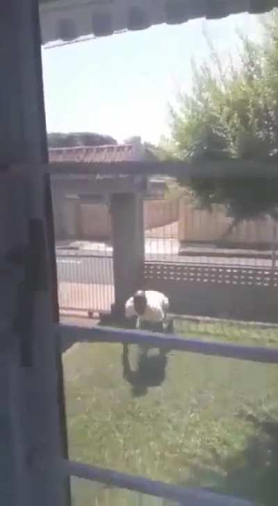 All that effort just to say hi?