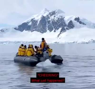 A penguin jumps into a dinghy to escape a pod of killer whales [Credit: u/Cyber_Being_]