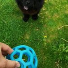 He tries his best