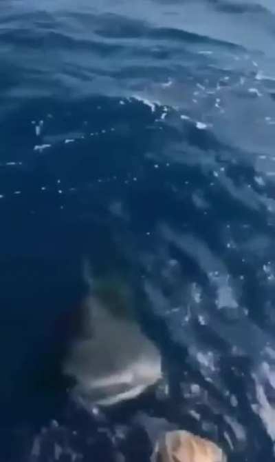 Come in, the water is cool.