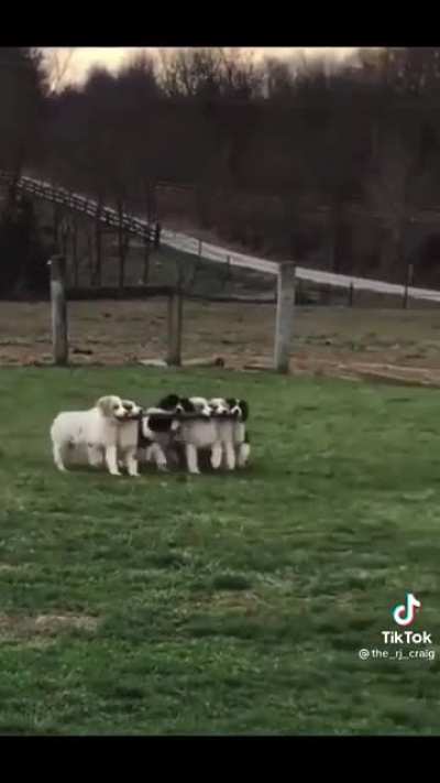 The stick is mine