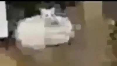 El stream se maty hasta que le llegue su nueva compu