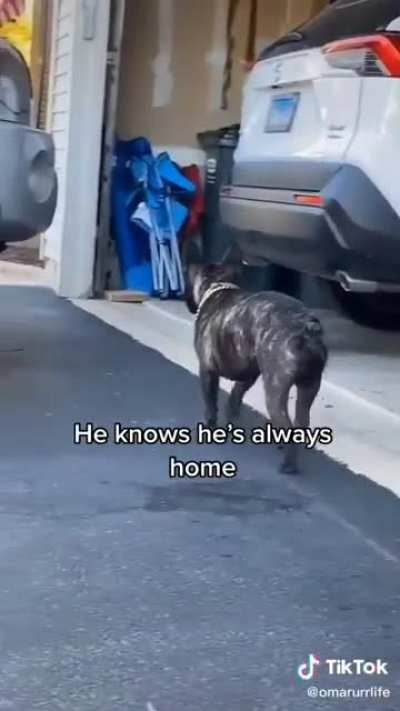 George is happy to see his Friend