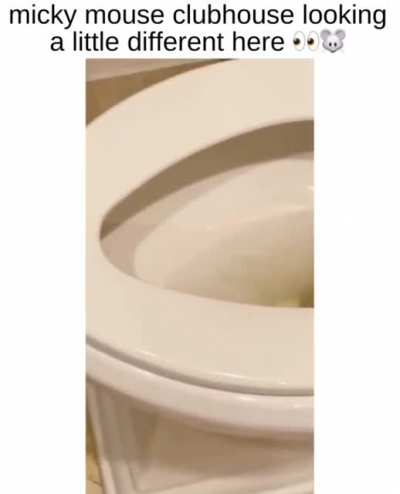 Man finds a mouse in a toilet bowl 🤮
