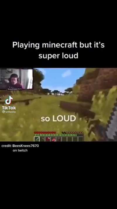 Loud minecraft