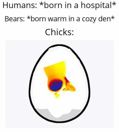 Corn fleak