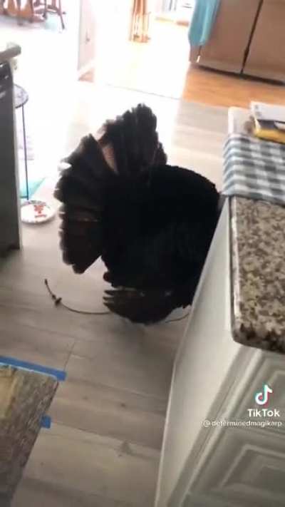 Trying to enjoy a nice snack