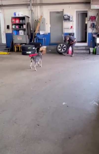maybe maybe maybe