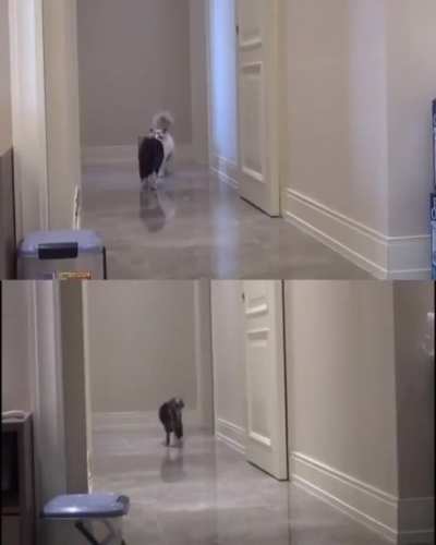 :(