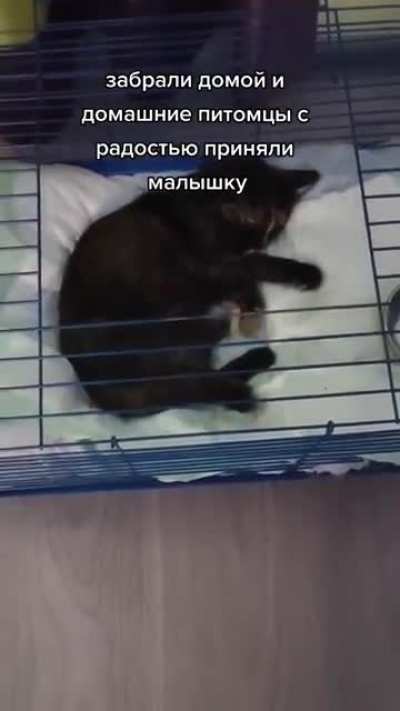 Не прошёл мимо