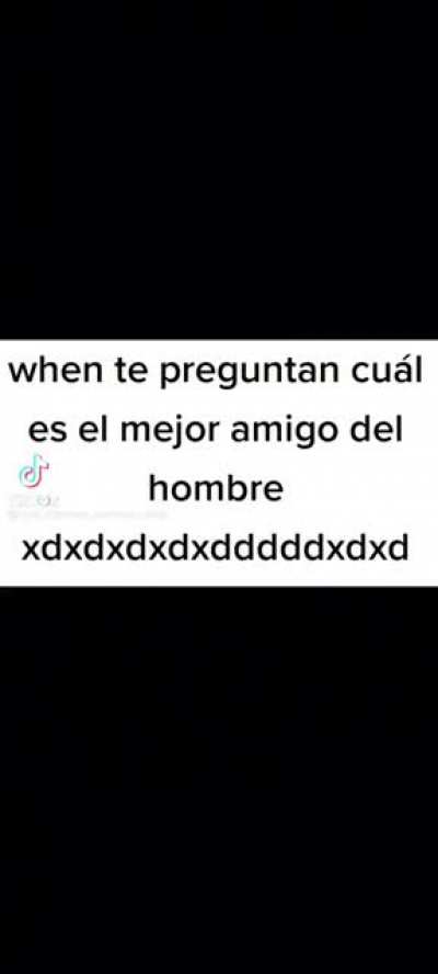 xdxdxdxdxdxdxdxd