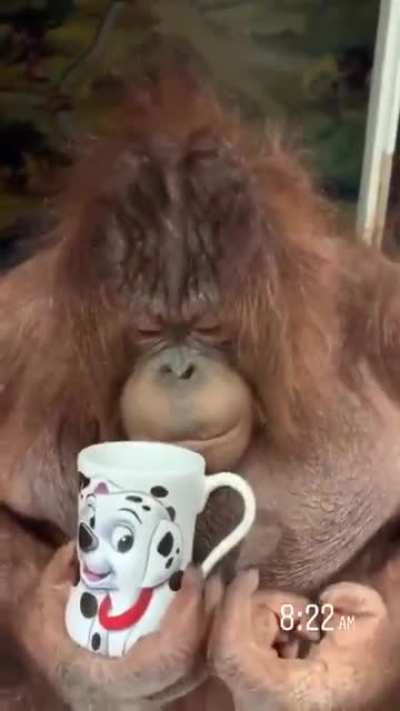 Morning coffee