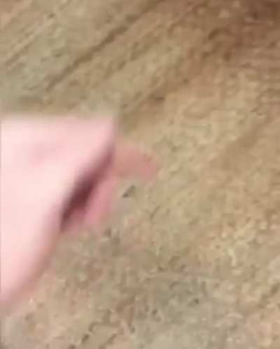 For the bois