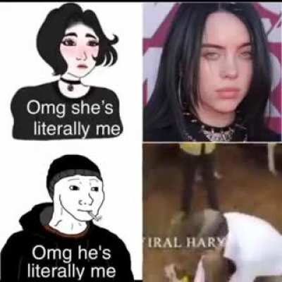 Average Billie eyelish fan🤢🤮 vs Average r/chodi enjoy<wbr>er💪💪😤