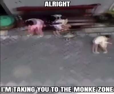 NOOOO I DONT WANNA GO TO THE MONKE ZONE