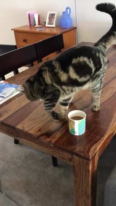 He ‘buries’ coffee because he doesn’t like the smell.