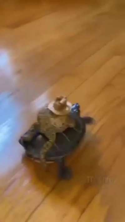 Sheriff mc toad: charges you on his stead while lashing out with his tongue and says howdy partner