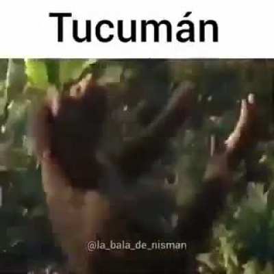 Welcome to tucuman