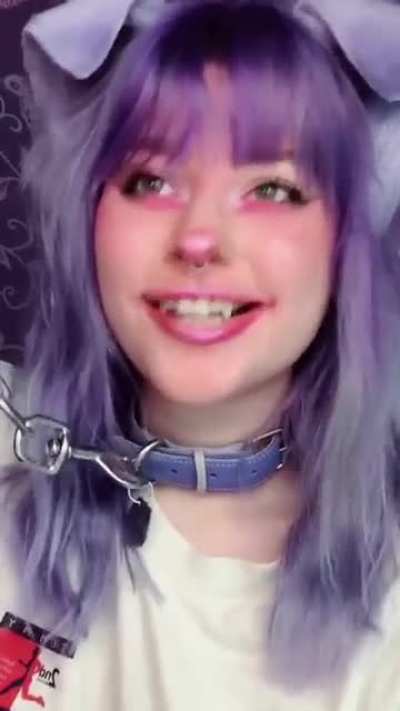 I don't like dogs anymore