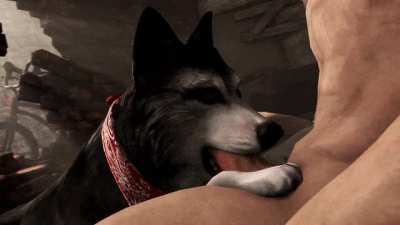 Doggy licking and sucking a cock