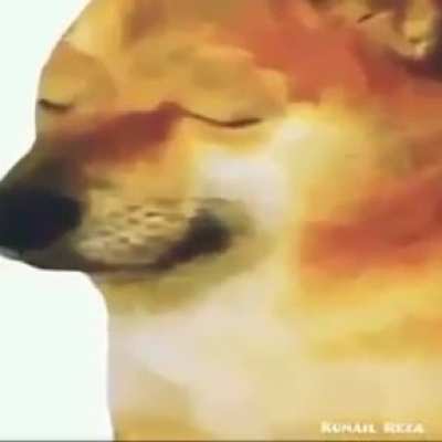 Şerefsiz anime kızı ona tapan kuluna tokat atıyor anime kızlarına bundan sonra tapmıyorum